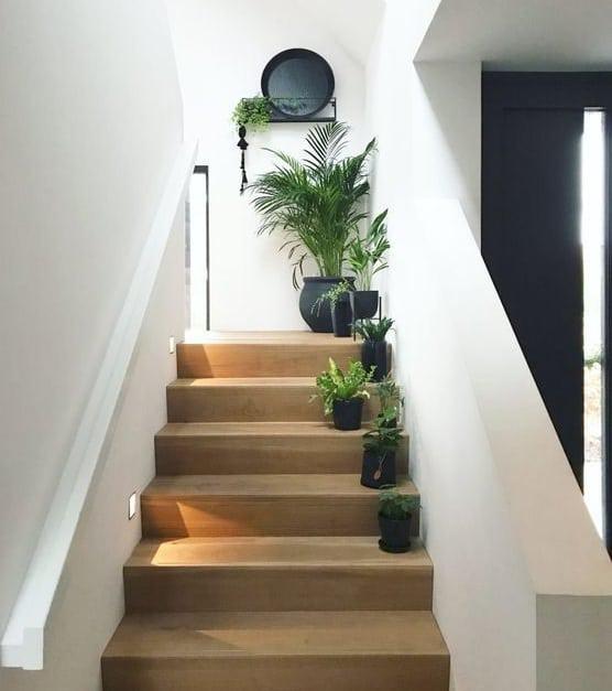 plantas-en-escalera-macetas