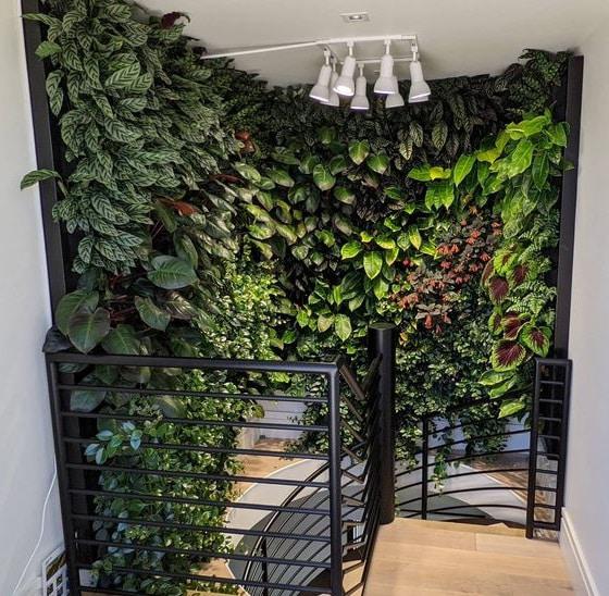plantas-en-escalera-pared-verde