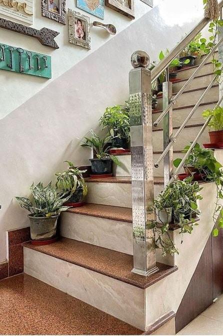 plantas-escalera-varias