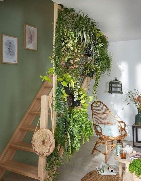 plantas-enredadera-baranda