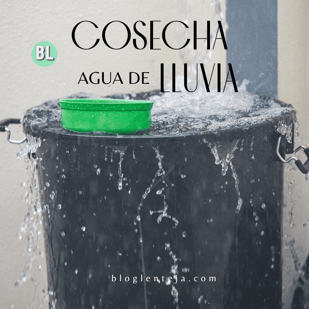 Cosecha agua de lluvia – 1