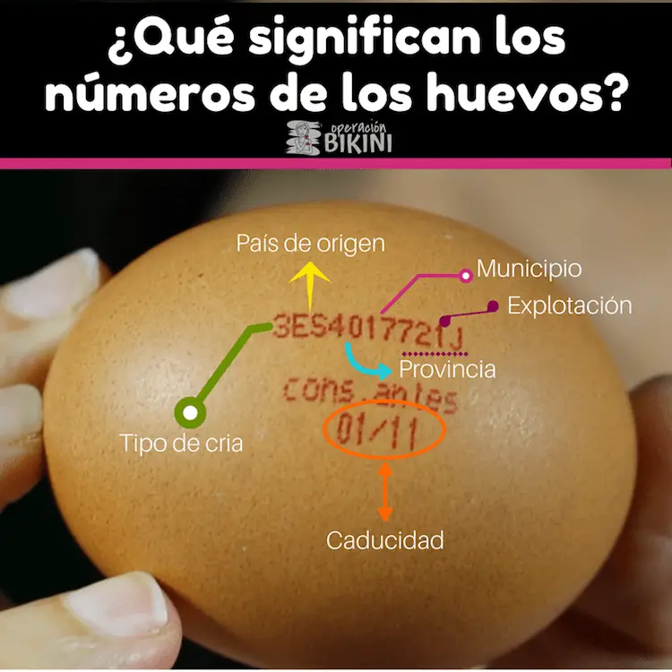 números de los huevos