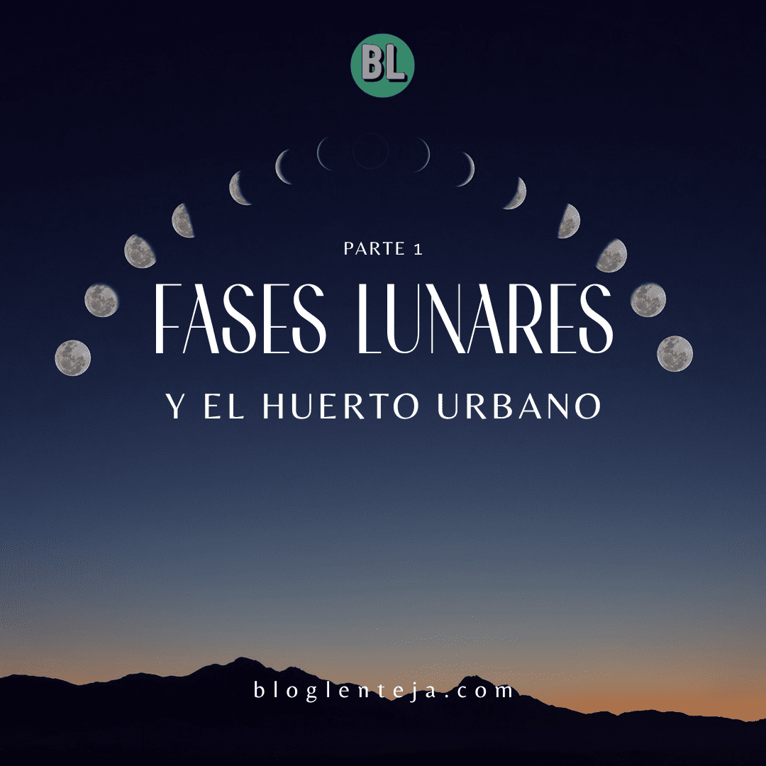 Fases Lunares y el Huerto Urbano – 1