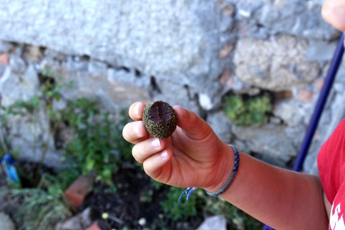 Mano de niño sujetando una trufa de chocolate rebozada de semillas verdes
