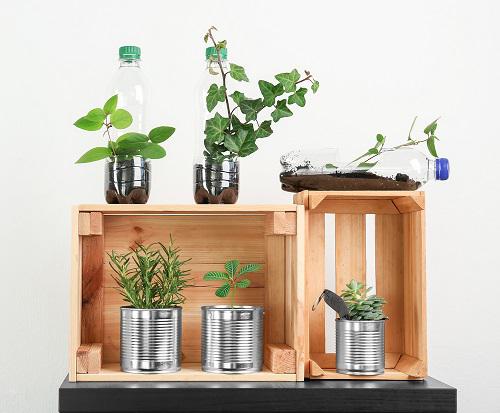 Halloween es una celebración envuelta en misterio, magia y mitos, donde los cuentos de brujas, fantasmas y criaturas nocturnas cobran vida por una noche. Pero, ¿y si pudiéramos combinar la tradición y el embrujo de esta festividad con la consciente decisión de ser sostenibles y respetuosos con el medio ambiente?