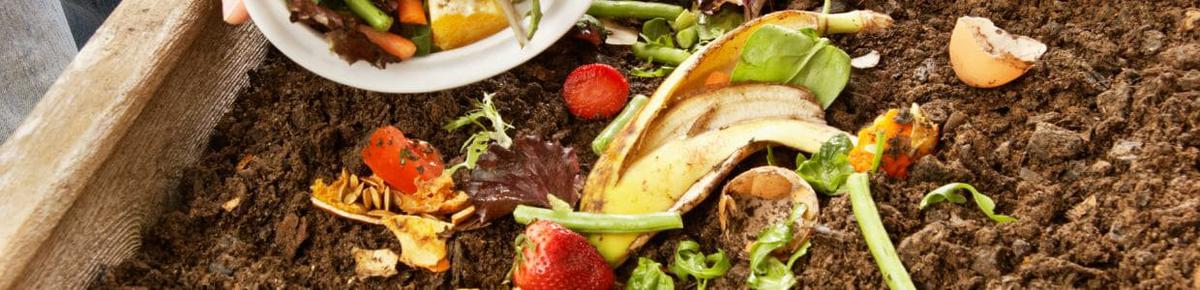 Por que elaborar tu propio abono organico