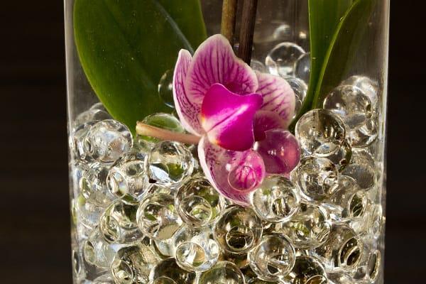 Hace tiempo que me llamaba la atención un producto conocido como cristal de agua, cuenta de agua, bolas de gel, hidrogel, orbeez o perlas de agua. Yo no tenía muy claro qué eran o para qué servían, aunque pensaba que eran tan sólo un material decorativo. Pues resulta no, no sólo sirven para decorar.