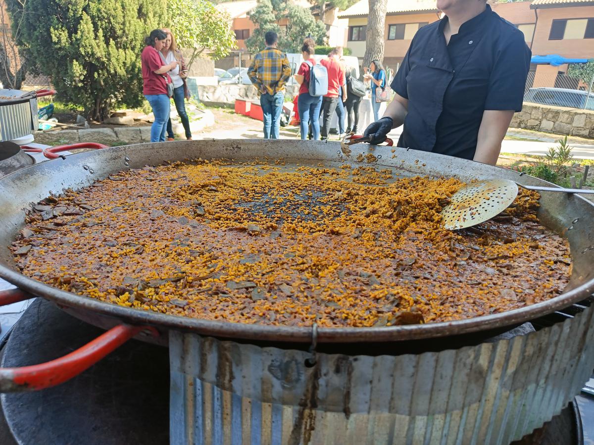 Una de las paellas de WordCamp Torrelodones