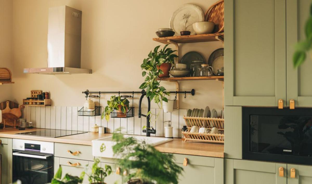 decorar tu cocina con plantas