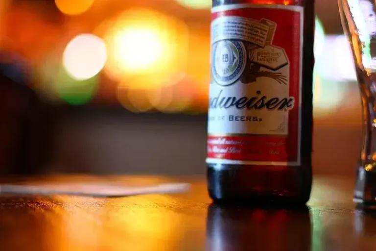 Cerveza Budweiser