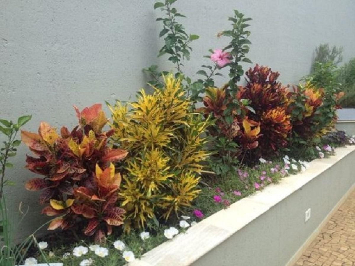 jardineras-combinacion-de-plantas