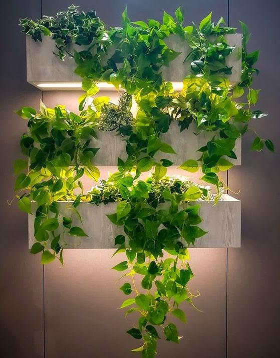 jardineras-exteriores-iluminaci&oacute;n