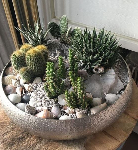 jardineras-con-variedad-de-plantas-y-piedras