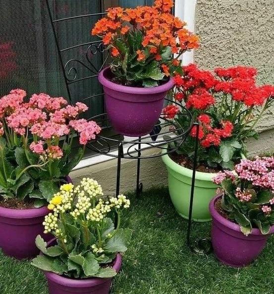 jardineras-de-exterior-coloridas