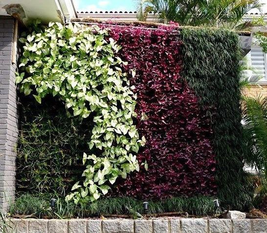 plantas-de-exterior-con-patron-llamativo