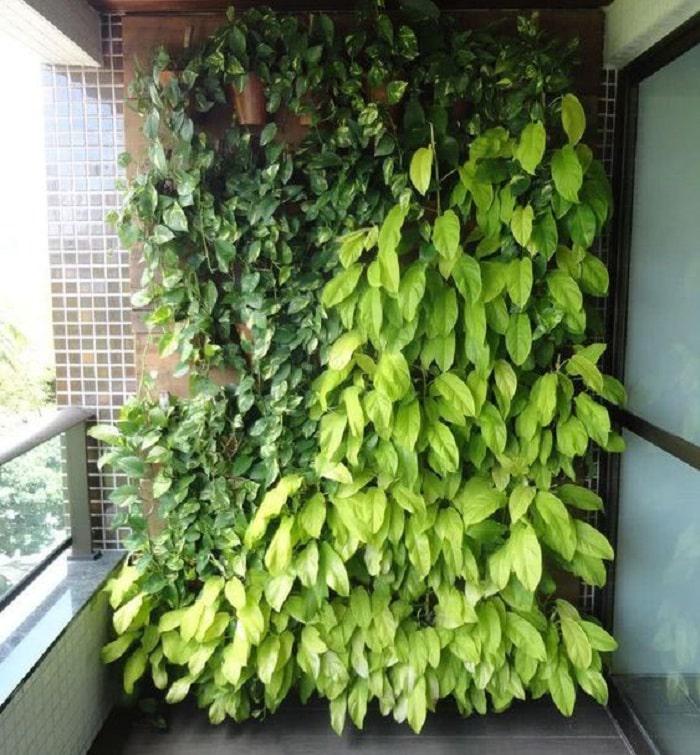 plantas-exterior-balcón