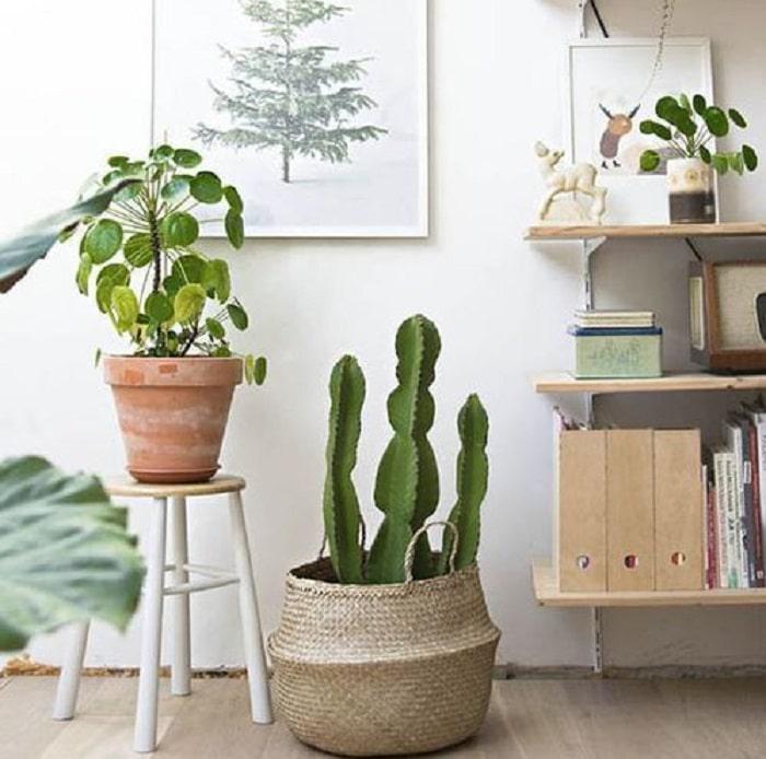 plantas-artificiales-varias-en-macetas