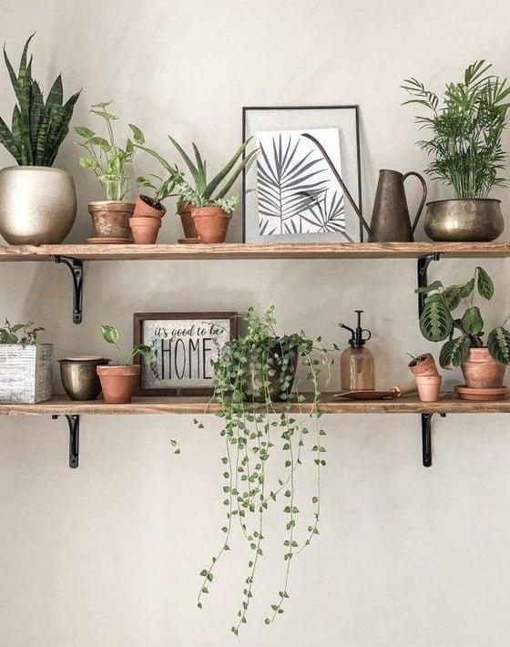 plantas-artificiales-en-estantes.