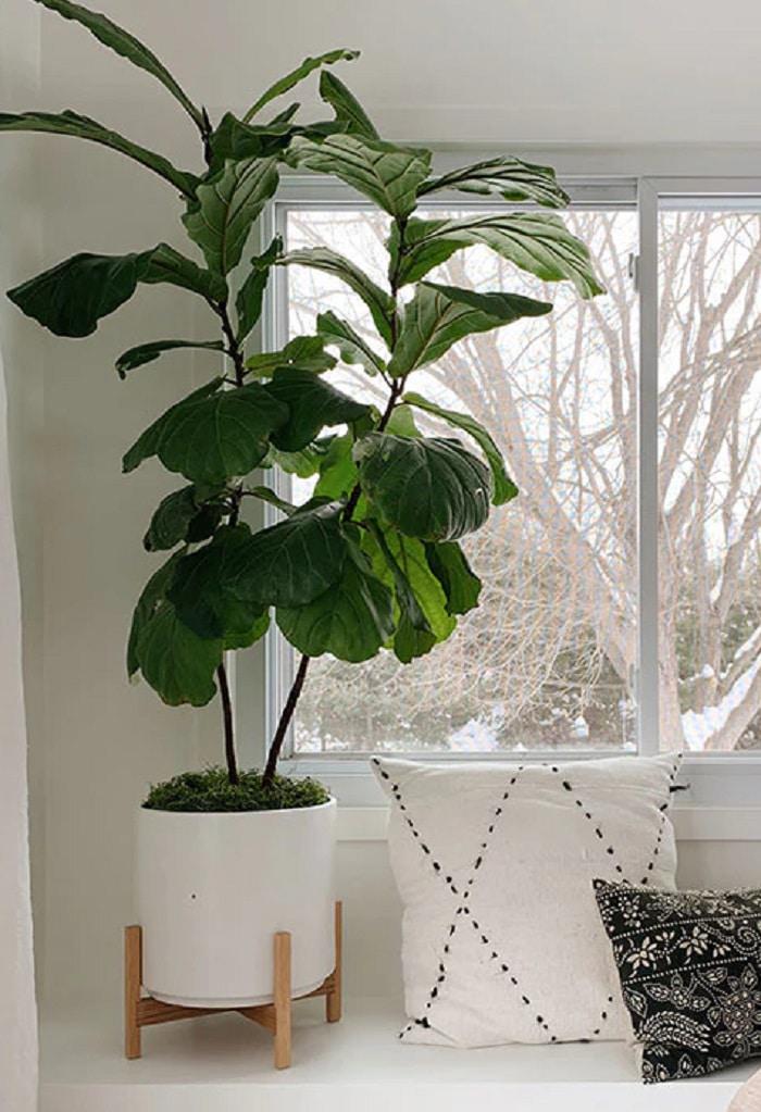 plantas-artificiales-en-macetas