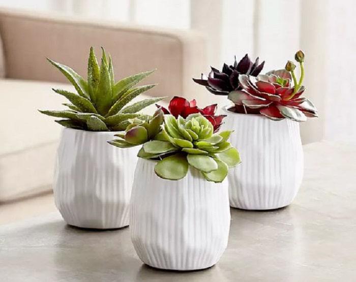 plantas-y-flores-artificiales