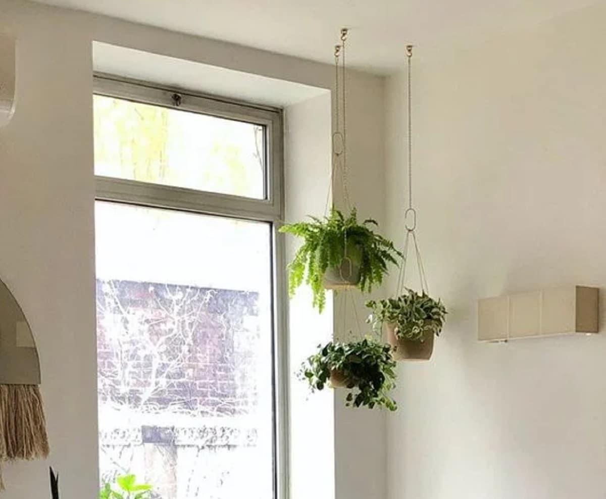 plantas-artificiales-colgadas-del-techo