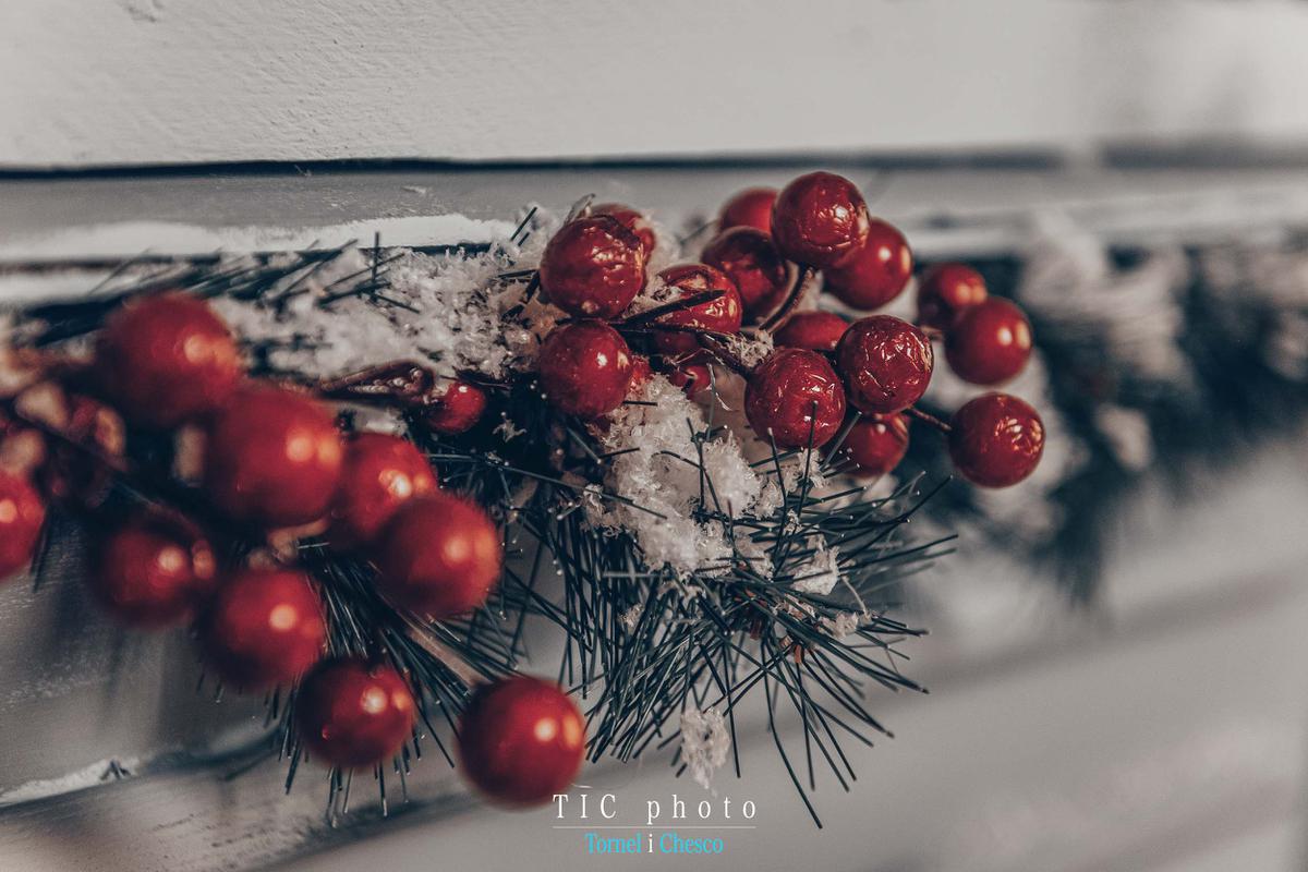 Sesión de fotos Navidad 2023 2