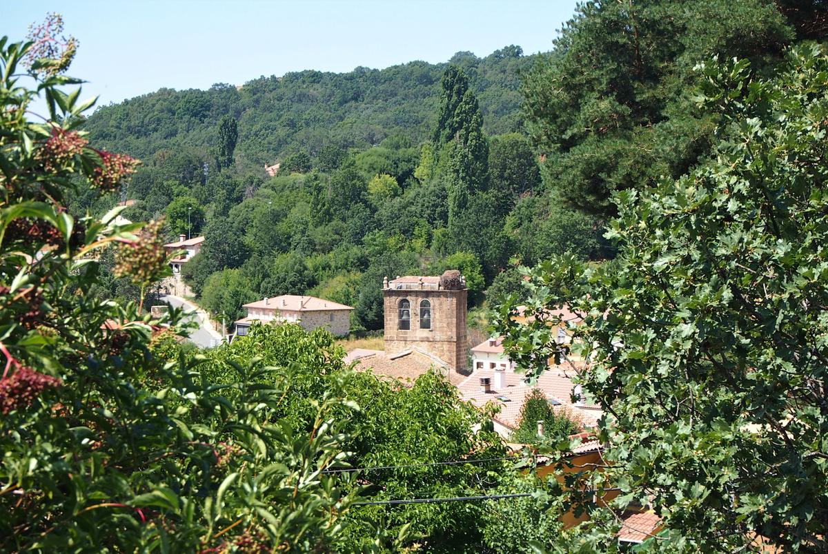 Vista de campanario de la iglesia detras de unos arboles