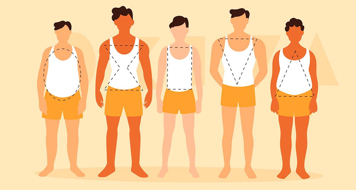 Tipos de cuerpo masculinos