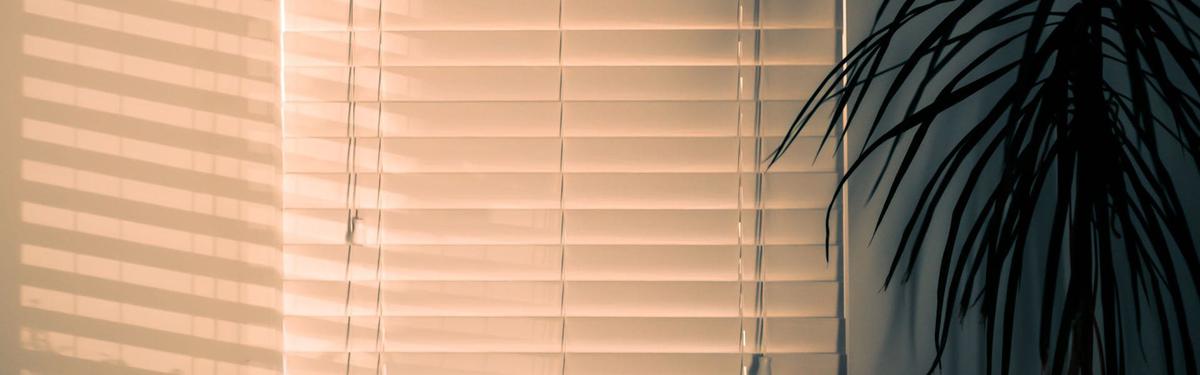 Ubicación Inadecuada de plantas