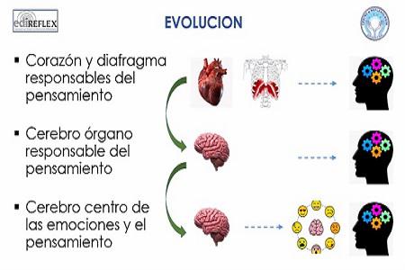 Ponencia Alicia Reflexologia