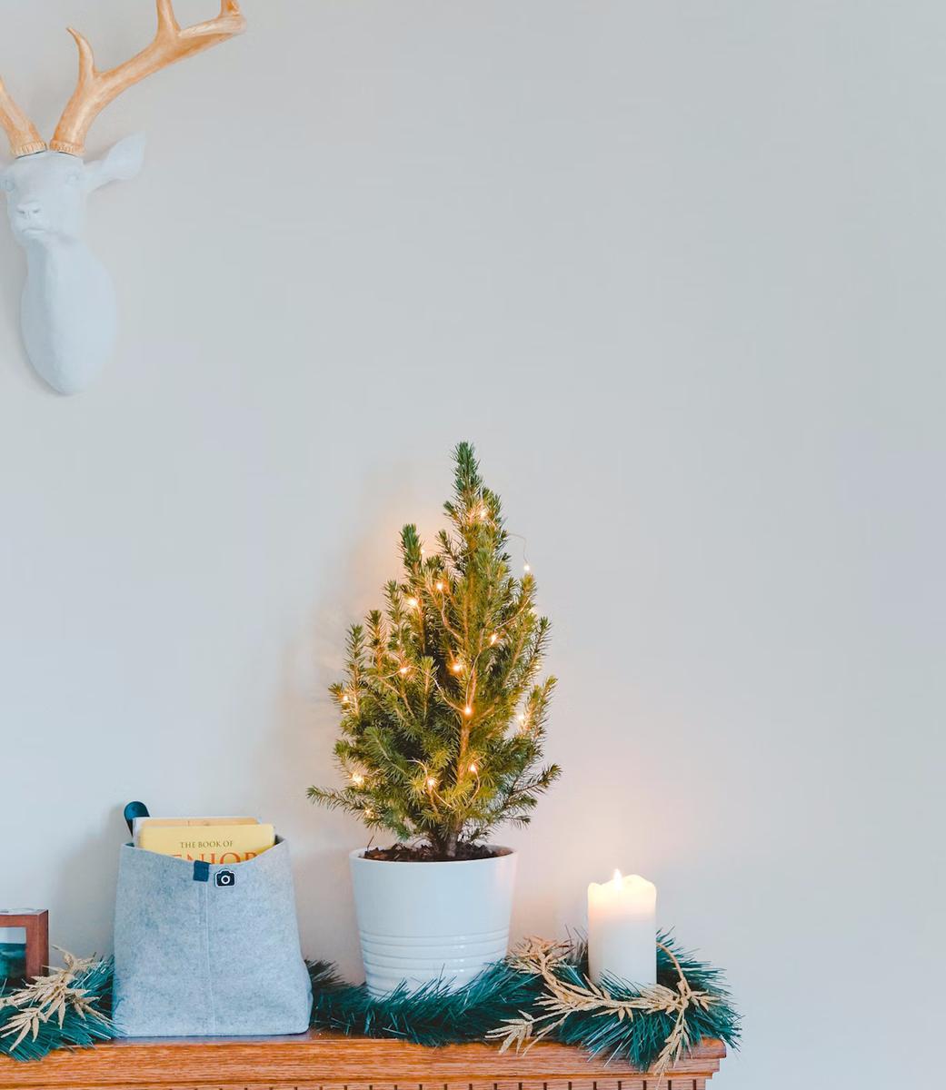 mini arbol en la chimenea