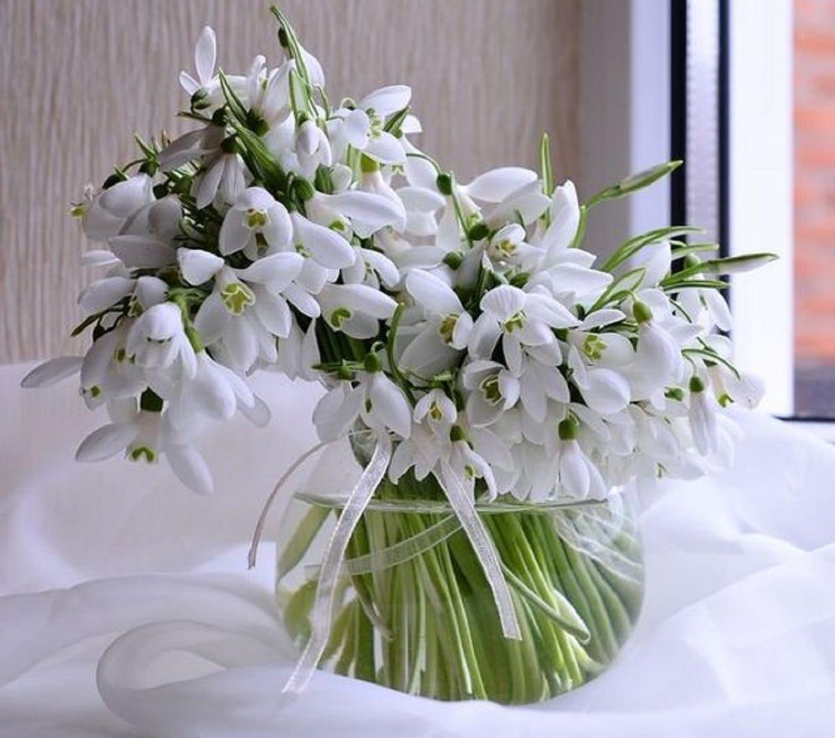 campanillas-de-invierno-floreros