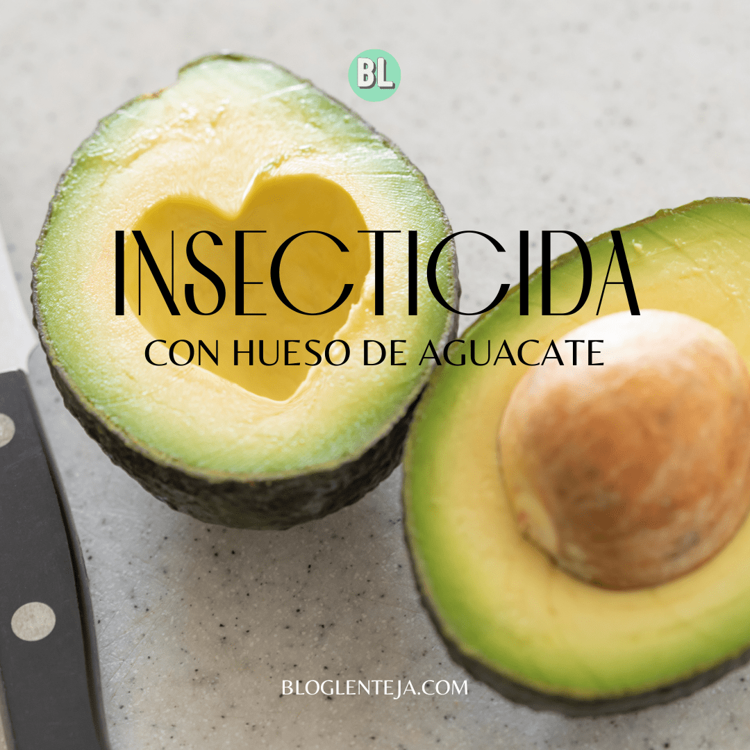 Insecticida con hueso de Aguacate
