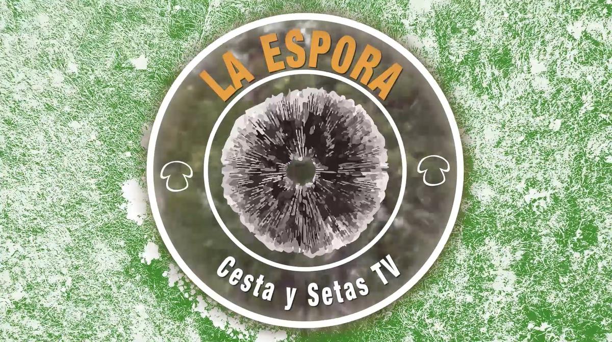 La Espora Cesta y Setas Tv, el primer programa especializado en el mundo de la micología, creada por y para amantes de la micología