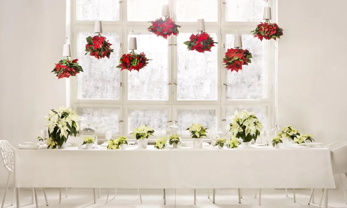 Navidad en minimalismo: adornos simples, efectos grandes 1