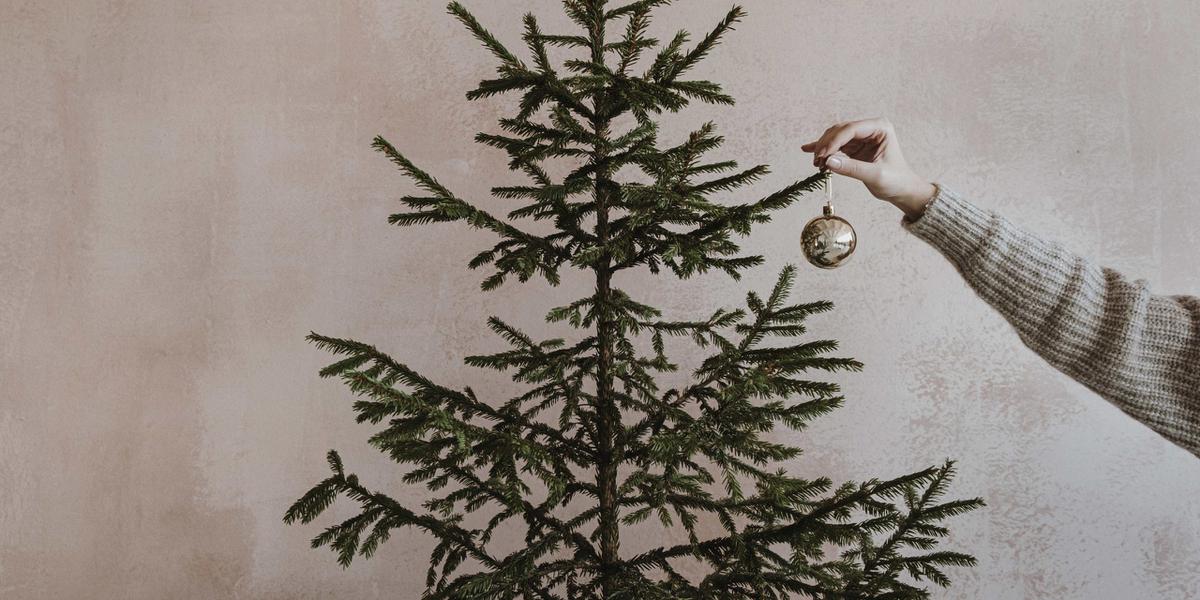 árbol de navidad sostenible