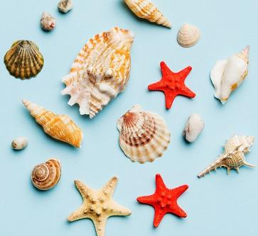 En este artículo te compartimos algunas ideas creativas para personalizar tu mochila utilizando materiales reciclados. Con estos tips podrás crear diseños únicos e innovadores que serán la envidia de todos tus compañeros de clases.