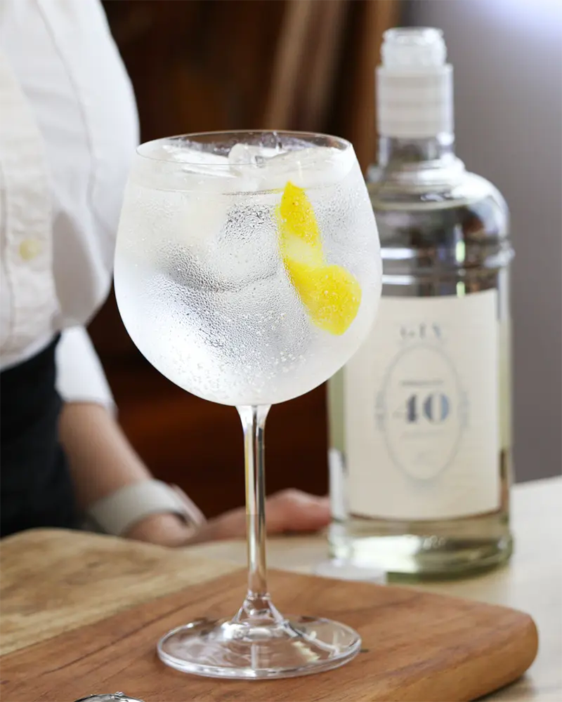 gin tonic receta como se prepara heraclito