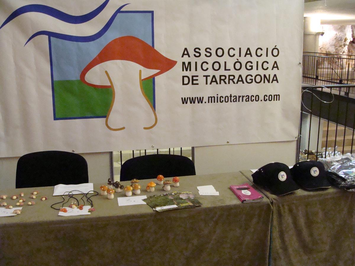 Sociedad micológica de Tarragona