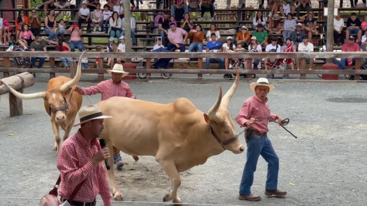 Show en Parque Panaca
