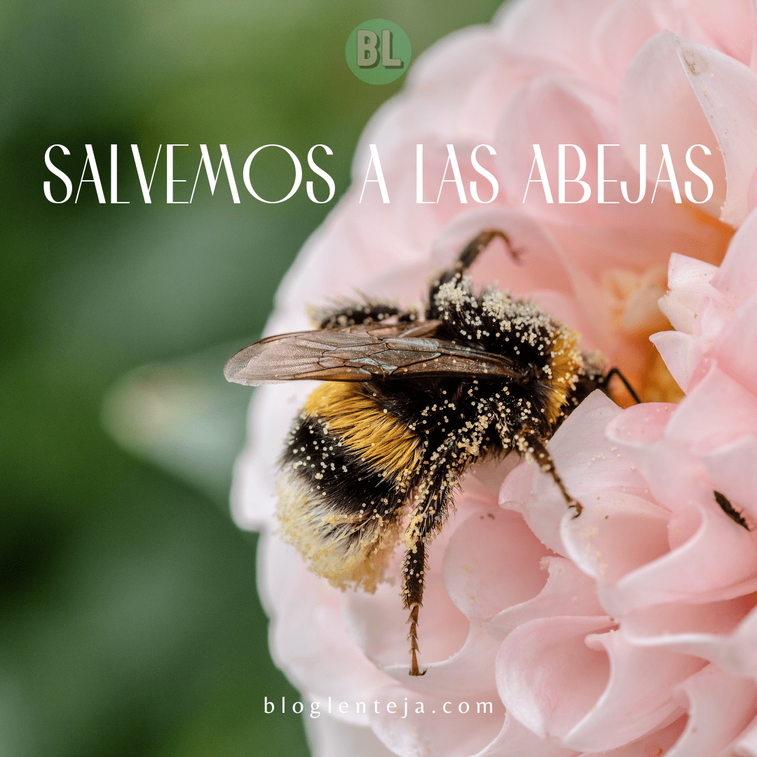 Salvemos a las abejas