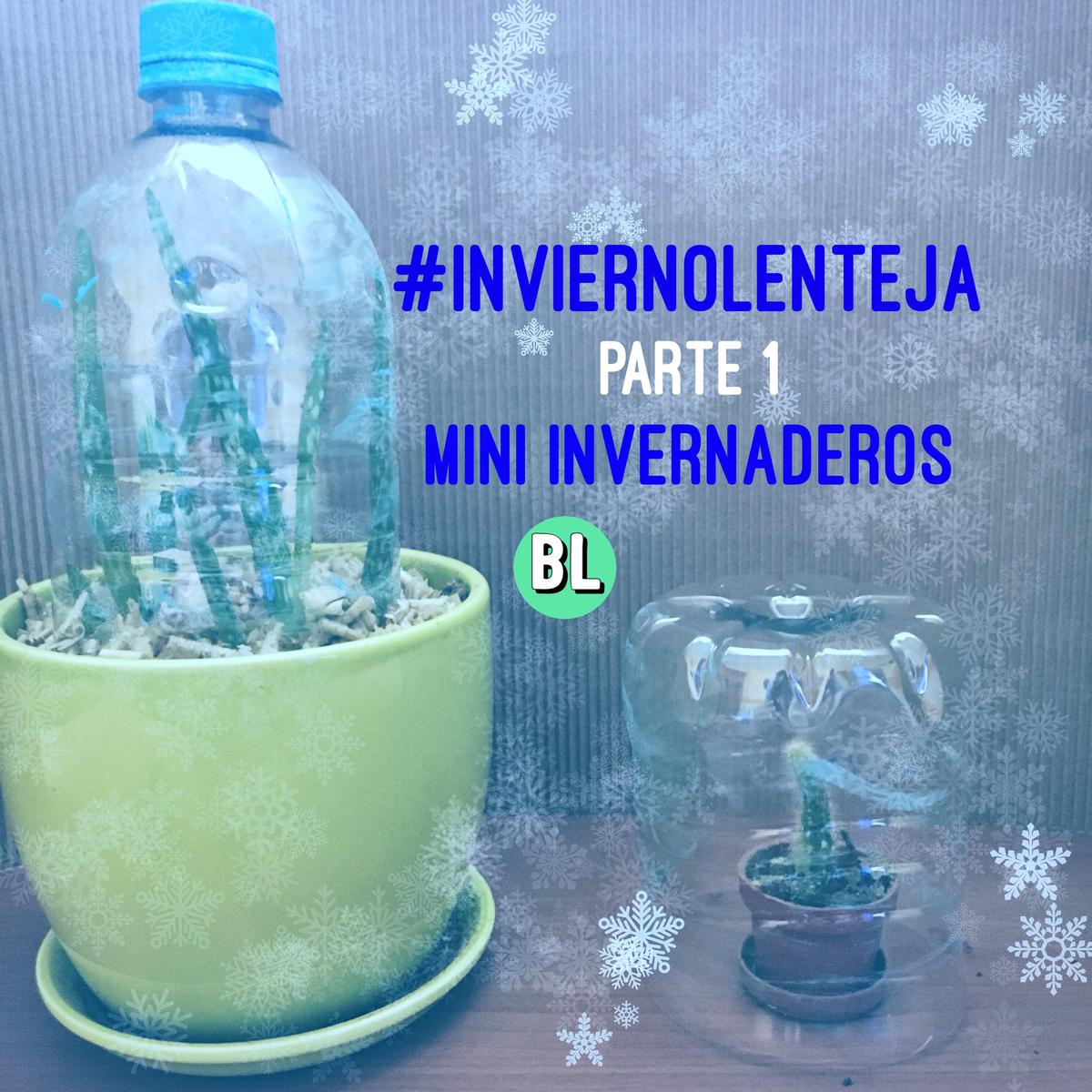 Mini-invernaderos