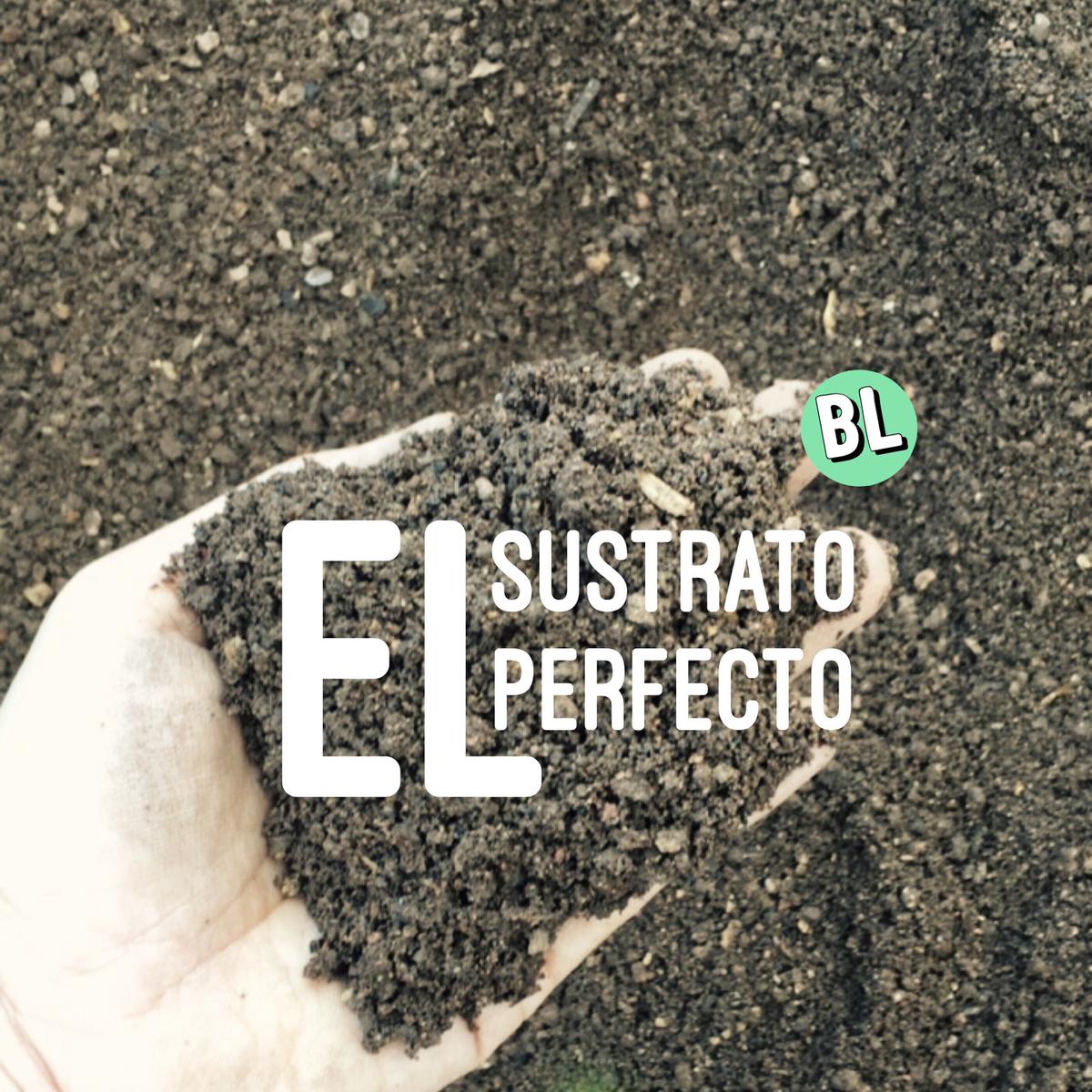 El sustrato perfecto