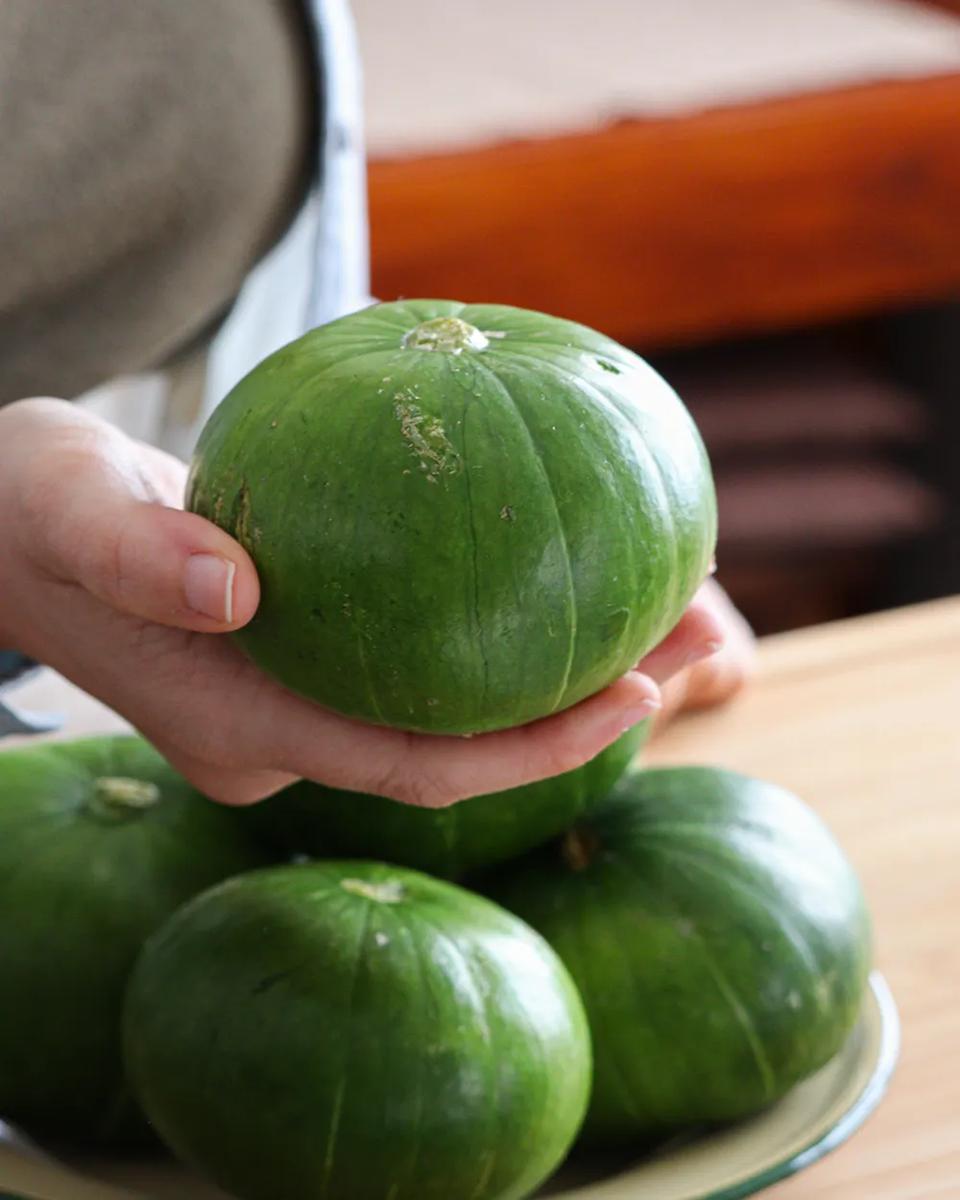 zapallito redondo que es