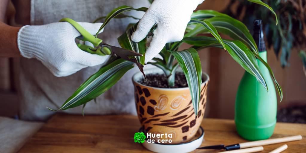 Copia de Copia de Blue Greyscale Photo Swimming Quote UAAPNCAA Twitter Post