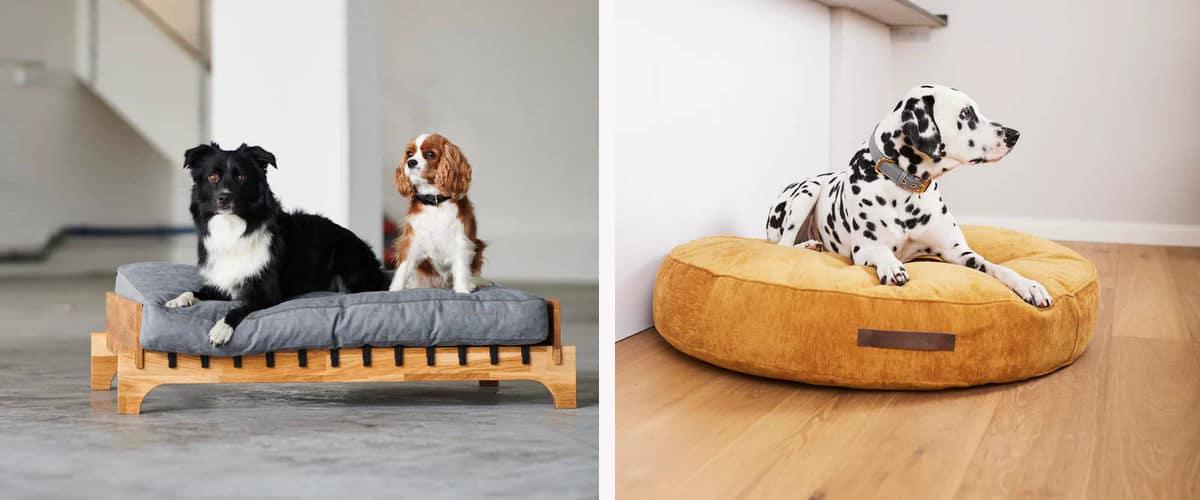 Camas para perros William Walker