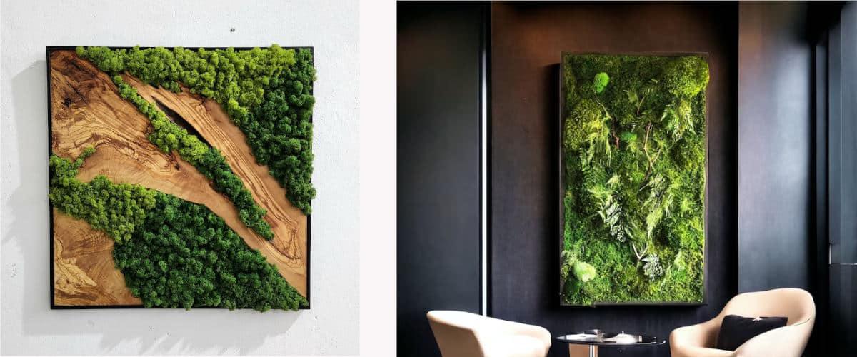 Cuadros de musgo