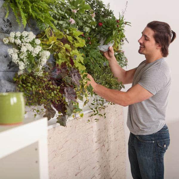 Cómo crear un jardín vertical de vegetales en tu hogar