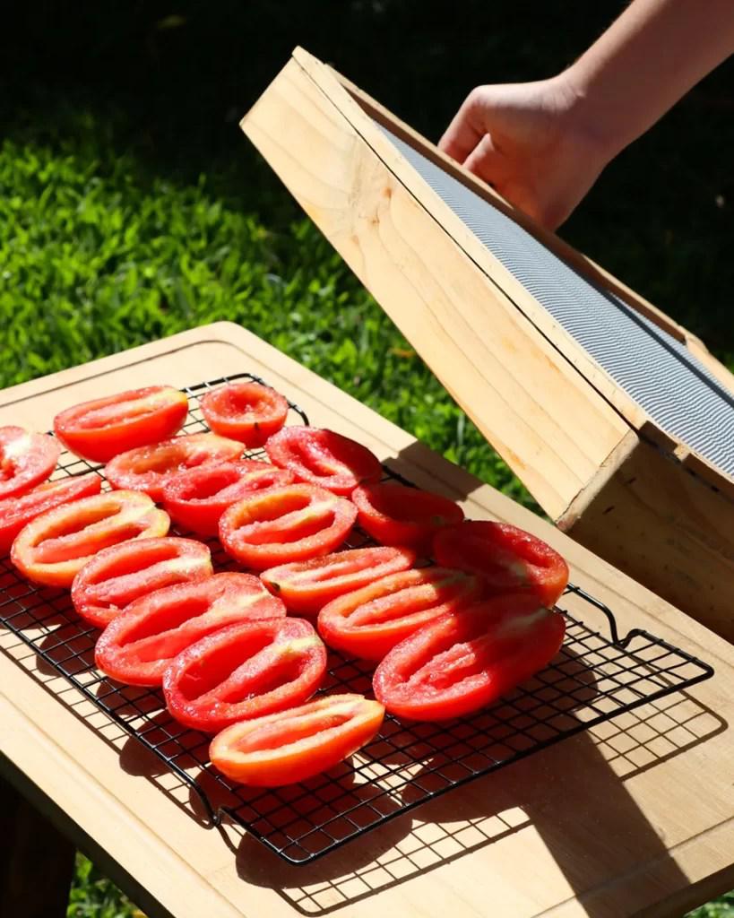 tomates secos al sol como hacer