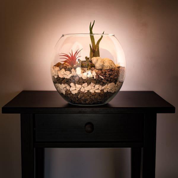 Donde colocar un terrario en casa